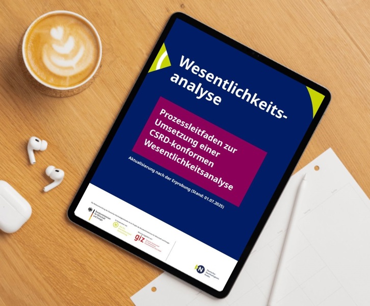DNK-Publikationen für Berichtspflichtige.